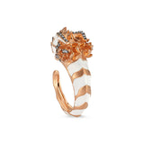 Tian Long Ring