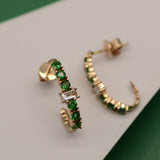 Aguna Hook Earrings