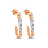 Aguna Hook Earrings