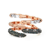 Dragon Claw Ring