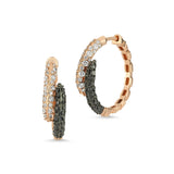 Dragon Claw Earrings