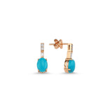 Dragon Lady Turquoise Stud Earrings